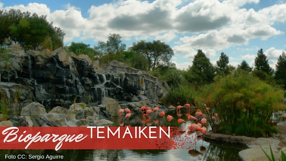 Lago de Flamingos en Bioparque de Temaiken